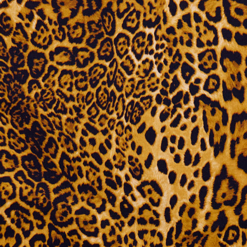 Swatch of leopard animal skin print 100% cotton poplin fabric by Rose and Hubble in orange and brown