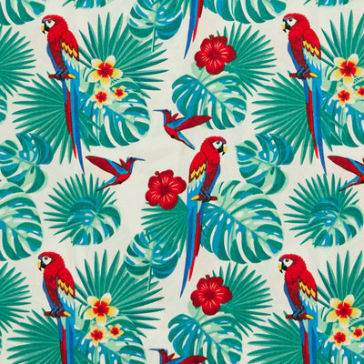 Swatch of bold and colourful tropical print with parrots, hummingbirds, frangipani flowers and palm leaves.100% cotton poplin fabric by Rose and Hubble in white