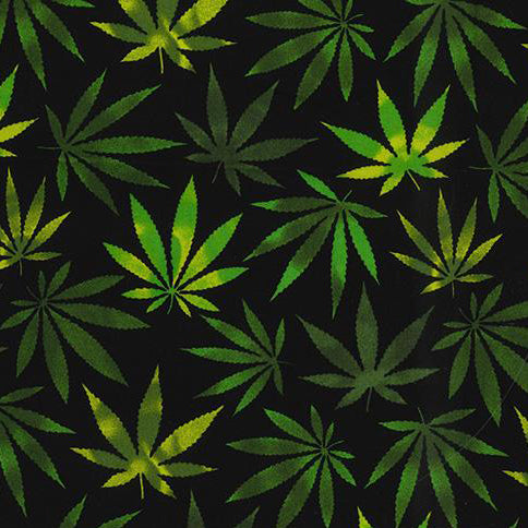 Swatch of bold and colourful cannabis leaf print 100% cotton poplin fabric by Rose and Hubble on black and green