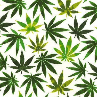 Swatch of bold and colourful cannabis leaf print 100% cotton poplin fabric by Rose and Hubble on ivory and green
