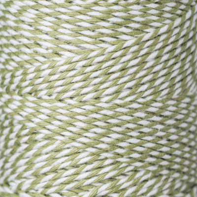 2mm Bright Bakers Twine/String in striped sage green and white